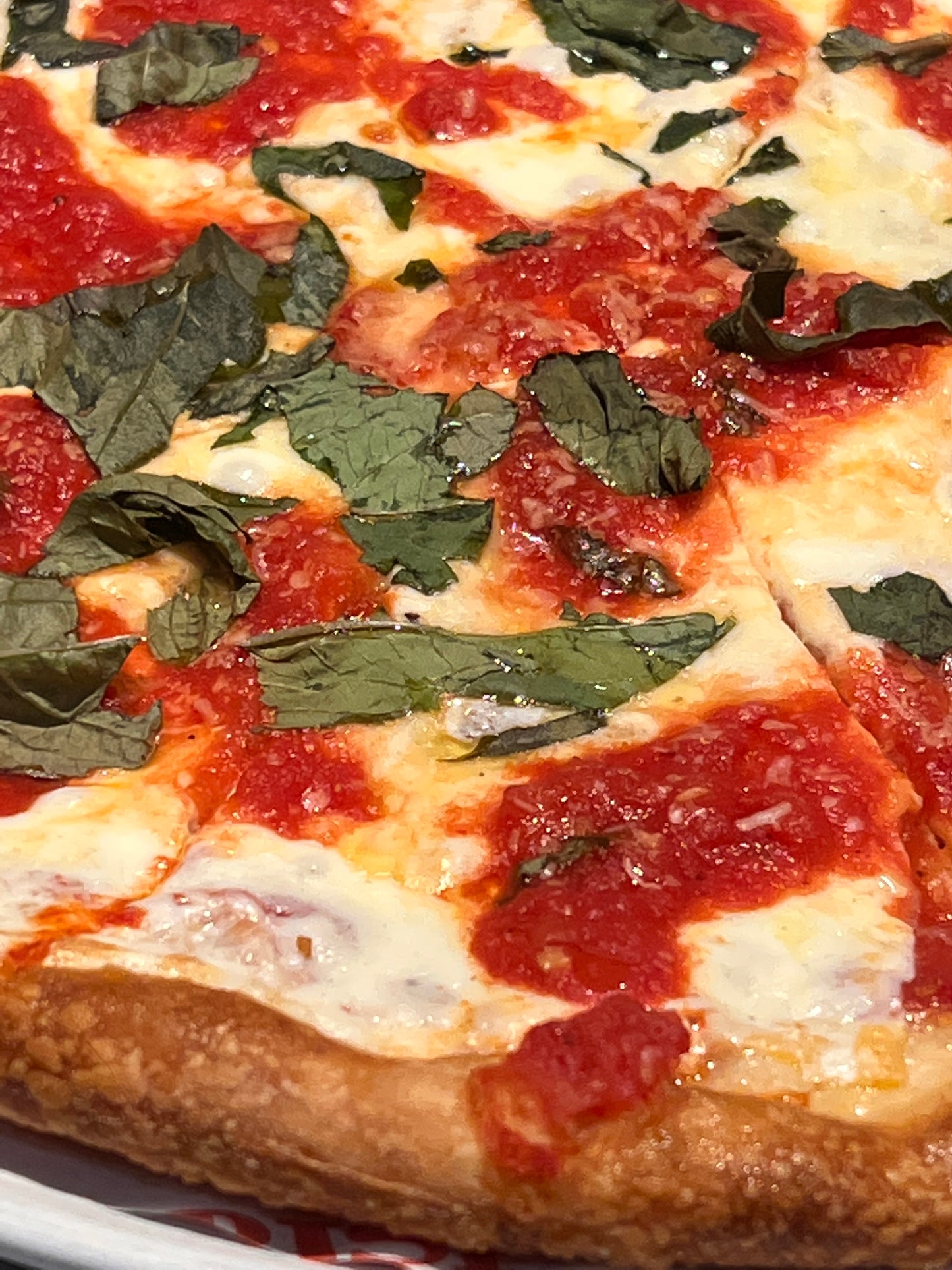 Pizza Margherita