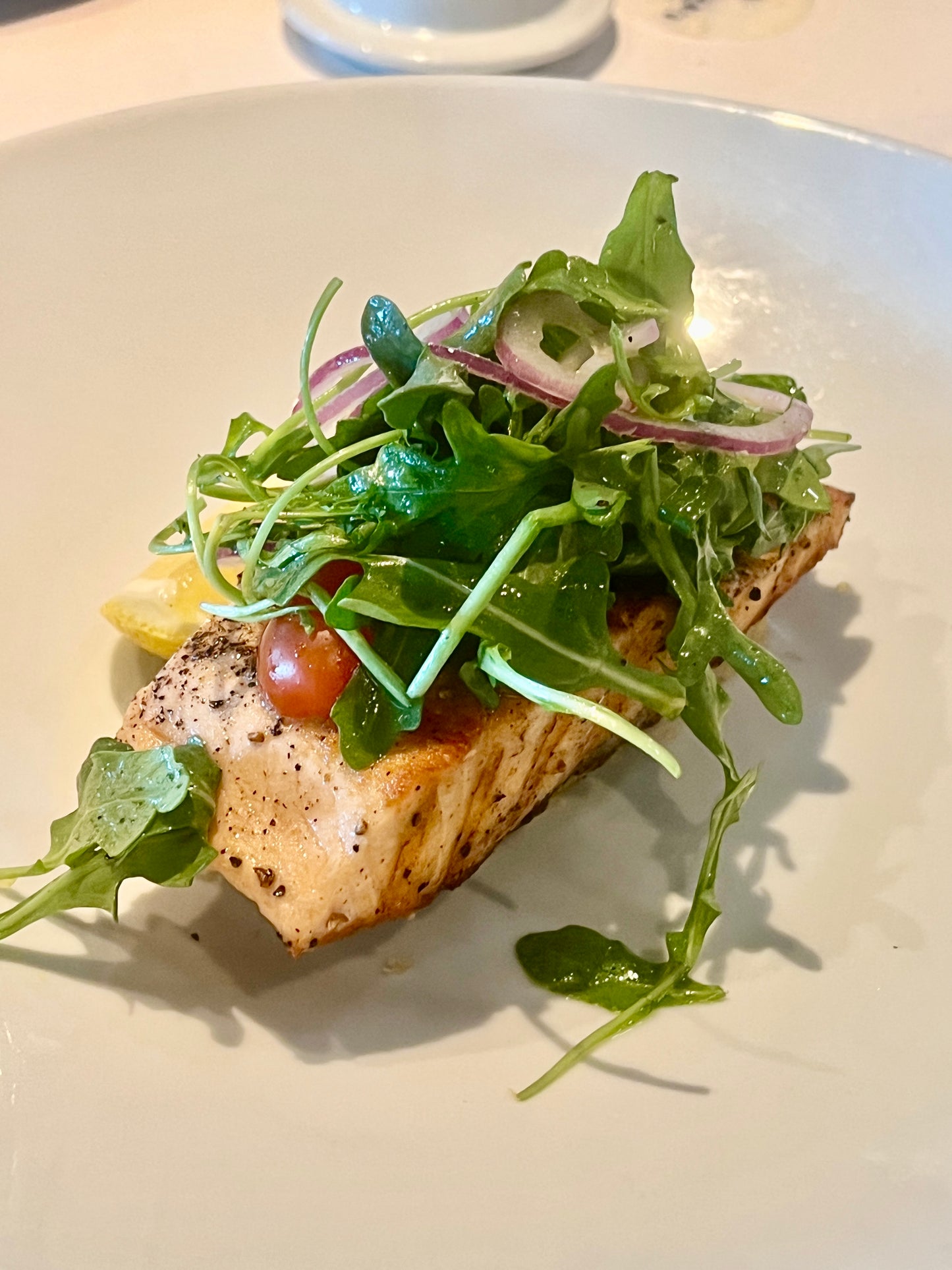 Salmon of the Sea